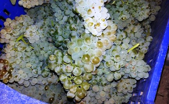 20160909_230918-640x360