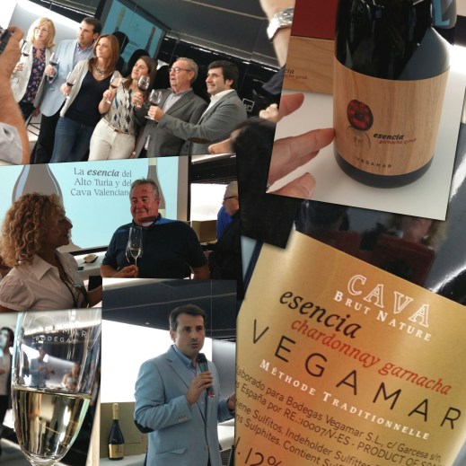 2016-10-18-18-59-04_1476809988087