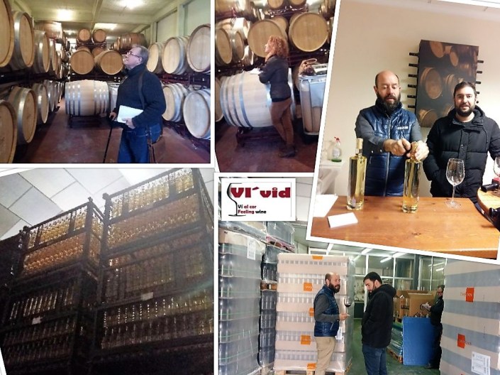 collage vins del comtat