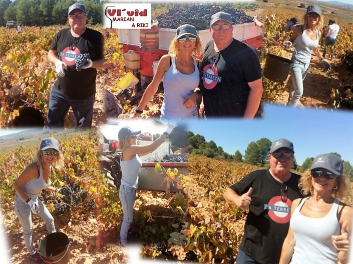 collage DOUR VENDIMIA PERIODISTAS (1)